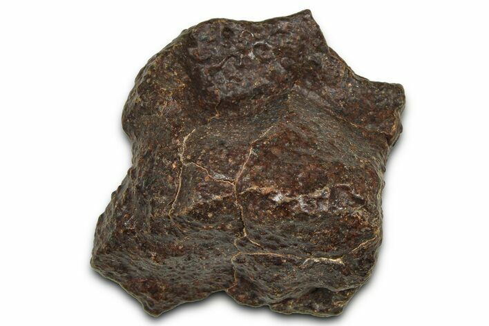 Chondrite Meteorite ( g) - Western Sahara Desert #371295
